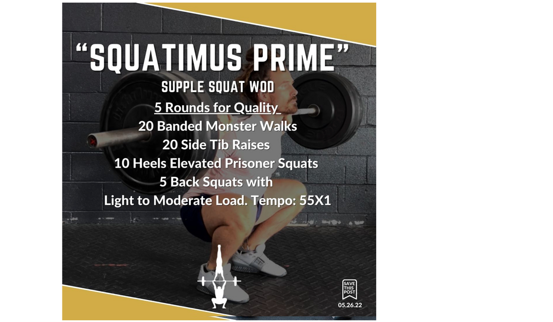 Back discount squat wod