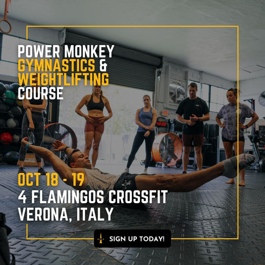 POWER MONKEY GYMNASTICS & WEIGHTLIFTING COMBO COURSE | 4 Flamingos CrossFit (Verona, Italy)